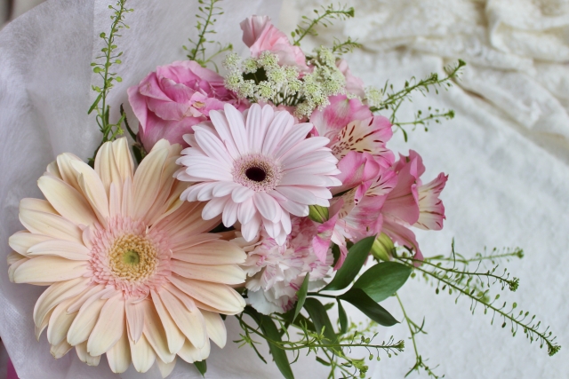 ピンク色のガーベラの花束 白背景